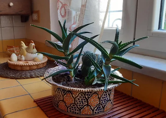 Villino San Martino 350m Dal Mare With Covered Parking Villa Viareggio